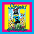 Straws - Paperback