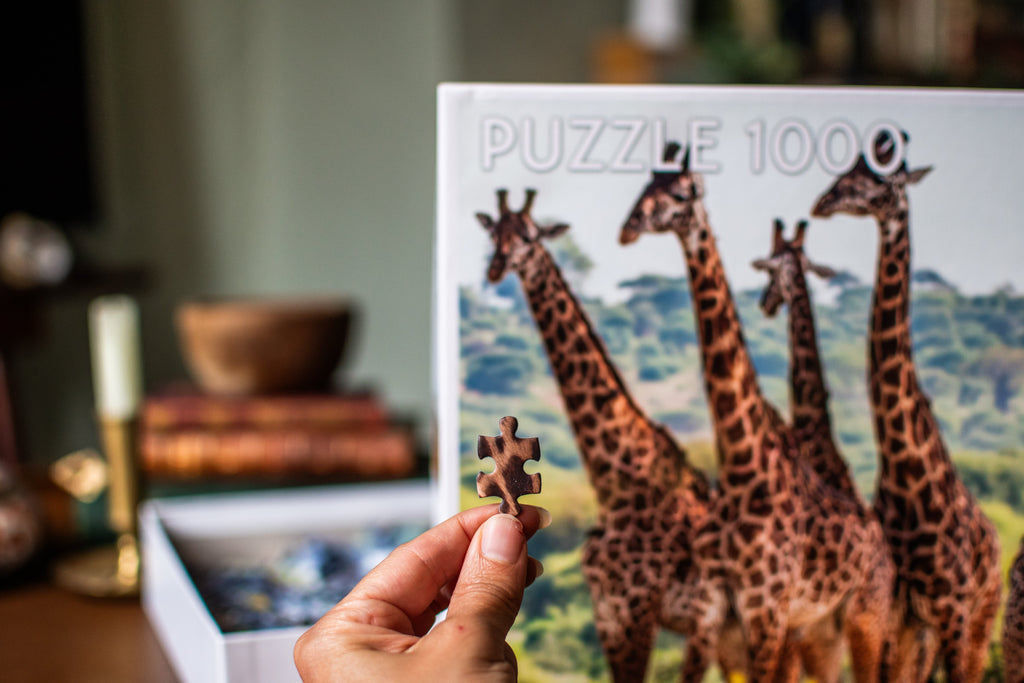 Giraffe Family 1,000-Piece Jigsaw Puzzle