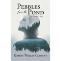 Pebbles From The Pond: A Teacher's Story - Paperback