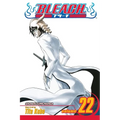 Bleach, Vol. 22: Conquistadores - Paperback