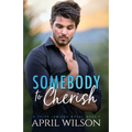 Somebody to Cherish: An Age Gap Protector Gay Romance - Paperback