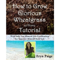 How to Grow Glorious Wheatgrass at Home Tutorial: With Salty Sea Mineral Eco-Fertilization for Superior Mineral Rich Soil - Paperback