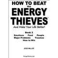 How to Beat the Energy Thieves and Make Your Life Better - Book 2 - Paperback