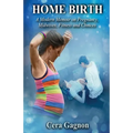 Home Birth: A Modern Memoir on Pregnancy, Midwives, Fitness and Choices - Paperback