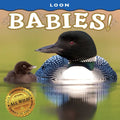 Loon Babies! - Board Book