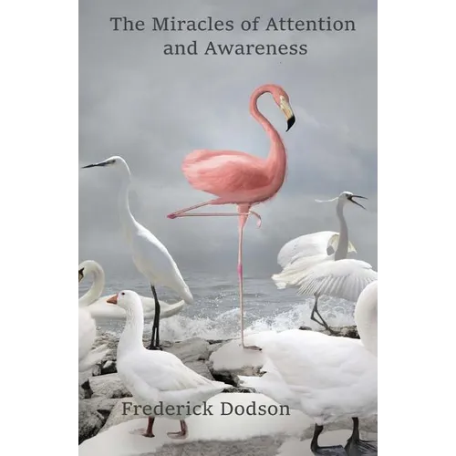 The Miracles of Attention and Awareness - Paperback