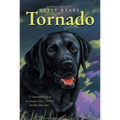 Tornado - Paperback