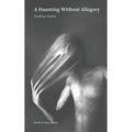 A Haunting Without Allegory - Paperback