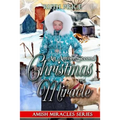 An Amish Second Christmas Miracle - Paperback