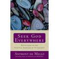 Seek God Everywhere: Reflections on the Spiritual Exercises of St. Ignatius - Paperback