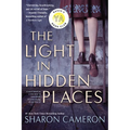 The Light in Hidden Places - Paperback