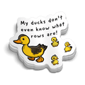 Ducks Hard Hat Decal