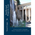 Intellectual Property Law: A Practical Guide to Copyrights, Patents, Trademarks and Trade Secrets - Paperback