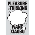 Pleasure of Thinking: Essays - Hardcover