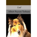 Lad: A Dog - Paperback