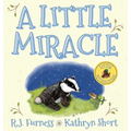 A Little Miracle - Hardcover