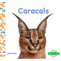 Caracals - Library Binding