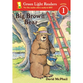 Big Brown Bear - Paperback