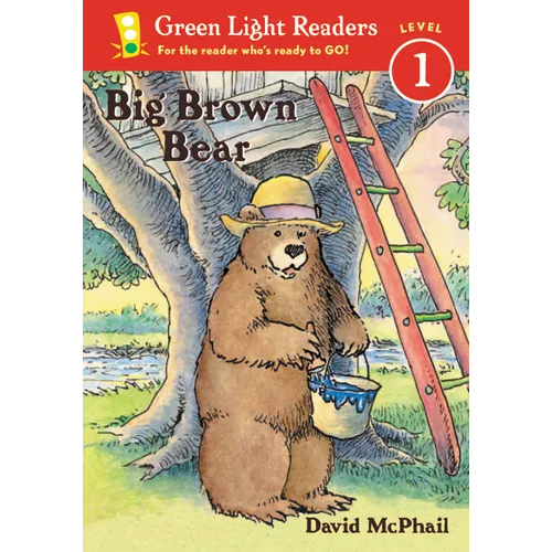 Big Brown Bear - Paperback