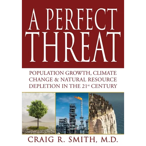 A Perfect Threat - Paperback
