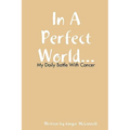In a Perfect World - Paperback