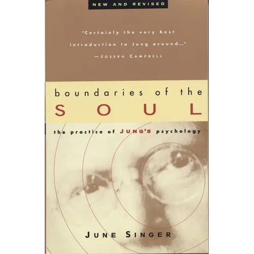 Boundaries of the Soul: The Practice of Jung's Psychology - Paperback