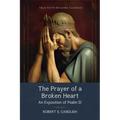The Prayer of a Broken Heart: An Exposition of Psalm 51 - Paperback