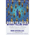 Going to Pieces Without Falling Apart: A Buddhist Perspective on Wholeness - Paperback