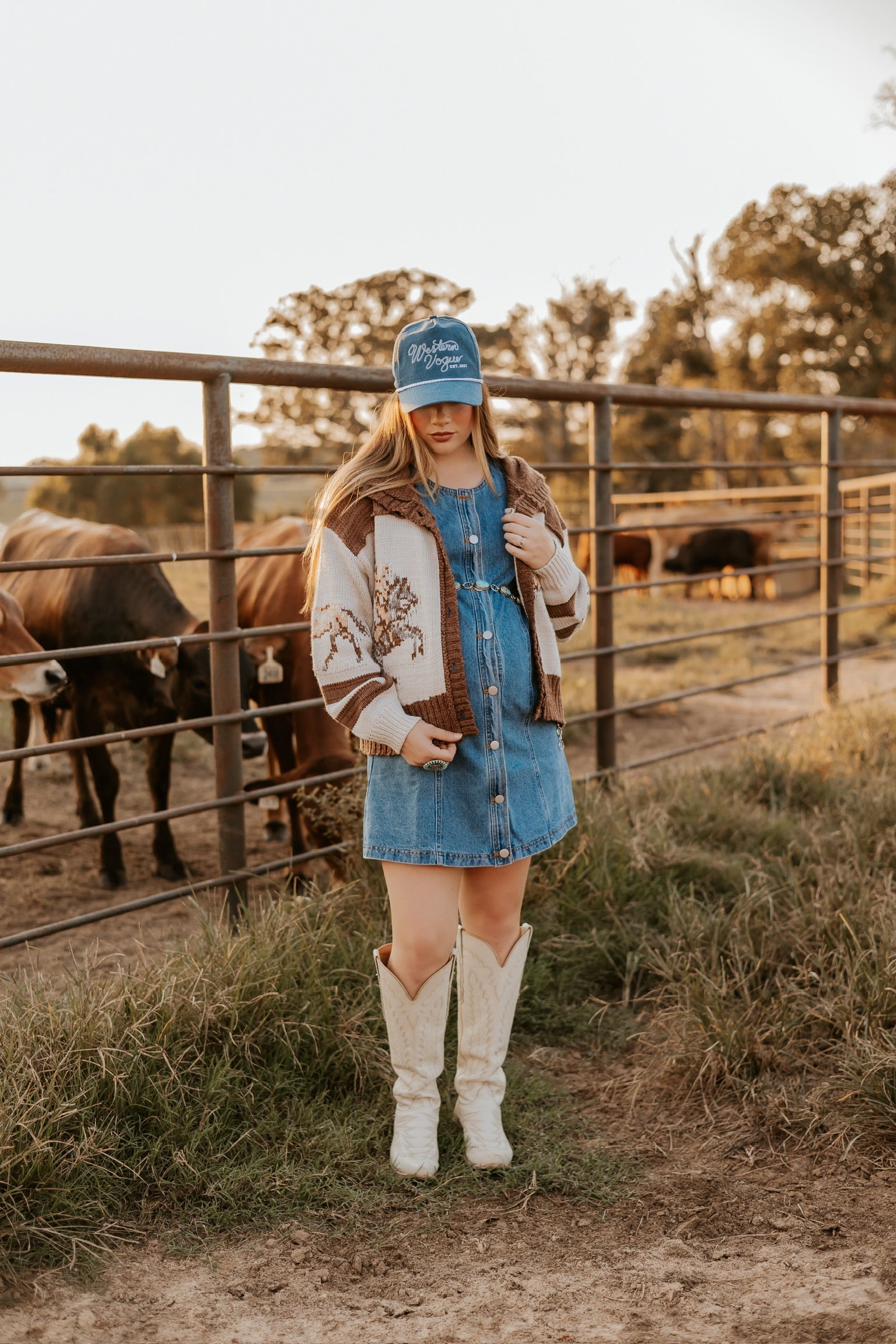 The Dobbs Denim Dress