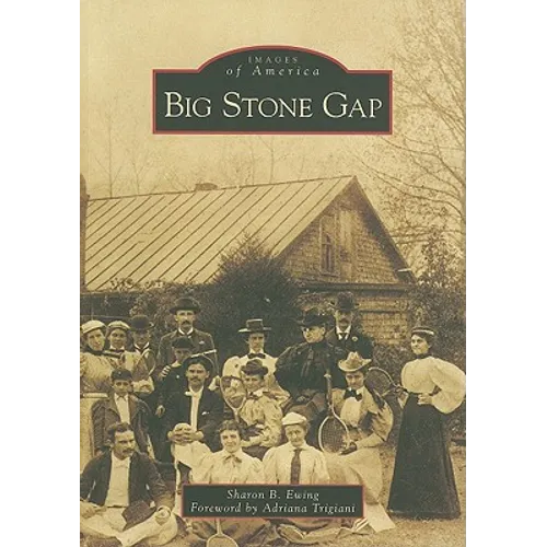 Big Stone Gap - Paperback