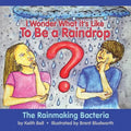 I Wonder What it's Like To Be a Raindrop: The Rainmaking Bacteria - Paperback