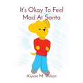 It's Okay To Feel Mad At Santa - Paperback