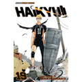 Haikyu!!, Vol. 19: Moon's Halo - Paperback