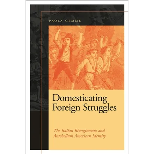 Domesticating Foreign Struggles: The Italian Risorgimento and Antebellum American Identity - Paperback