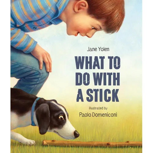 What to Do with a Stick - Paperback