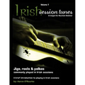 Irish Session Tunes (For Dulcimer), Volume 1 - Paperback