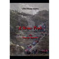 A Slow Trek - Paperback