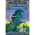 Stallion by Starlight - Paperback