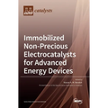 Immobilized Non-Precious Electrocatalysts for Advanced Energy Devices - Hardcover