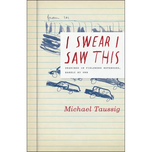I Swear I Saw This: Drawings in Fieldwork Notebooks, Namely My Own - Paperback