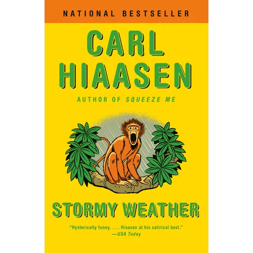 Stormy Weather - Paperback