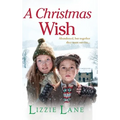 A Christmas Wish - Hardcover