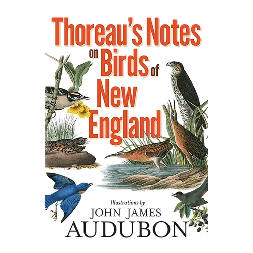 Thoreau's Notes on Birds of New England - Paperback