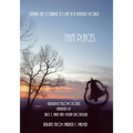 Thin Places: Seeking the Courage to Live in a Divided World - Paperback