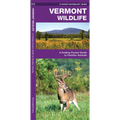 Vermont Wildlife: A Folding Pocket Guide to Familiar Animals