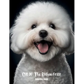 Chloe The Bichon Frise Coloring Book - Paperback