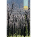 Climate Change in World Politics - Paperback