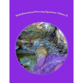 Multidimensional Dowsing Questions: Volume II - Paperback