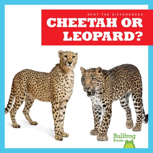 Cheetah or Leopard? - Library Binding
