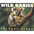 Wild Babies - Paperback